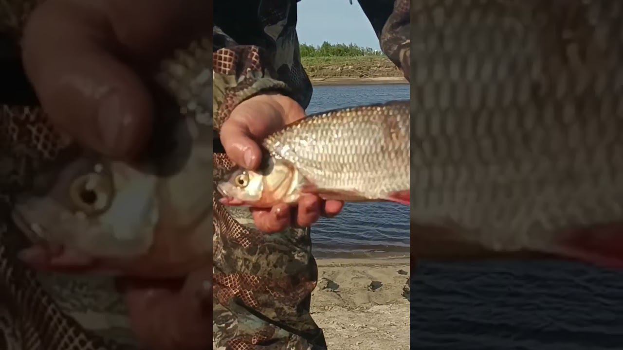 3 июля 2023 г. смотреть онлайн