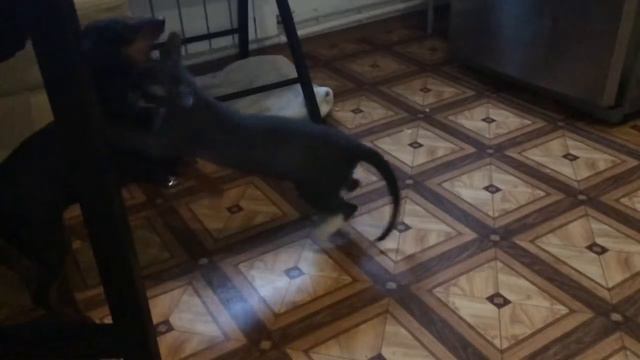 Break your fu***** face tonight смотреть онлайн