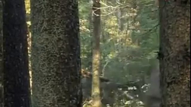 Мастерство и Ум