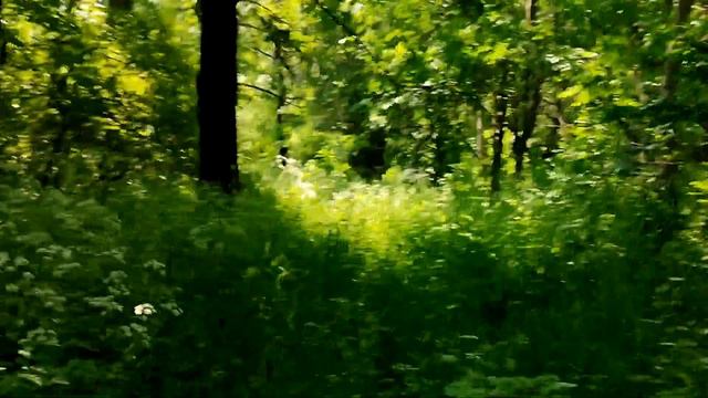 Когда вы впускаете в свое тело энергии света и любви, тело начинает меняться смотреть онлайн