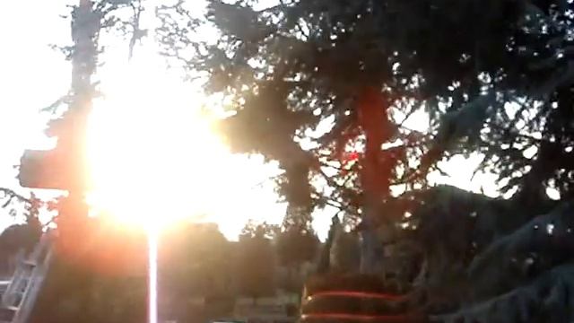MOV00789 смотреть онлайн