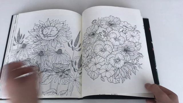 Обзор раскраски Марии Тролле «Botanicum»// Ботаникум// шведское издание смотреть онлайн