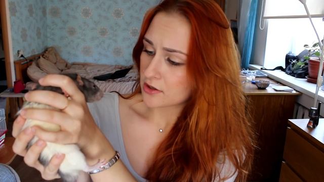 Что я делаю, когда мне скучно!? AmeliKo project. смотреть онлайн