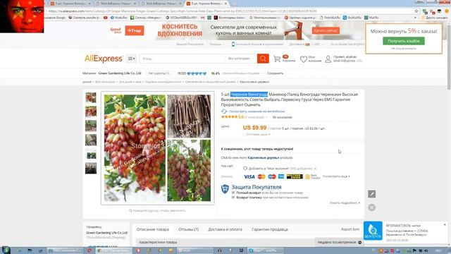 6 шт черенков винограда Manicure Finger из Китая ($9.99) с AliExpress смотреть онлайн