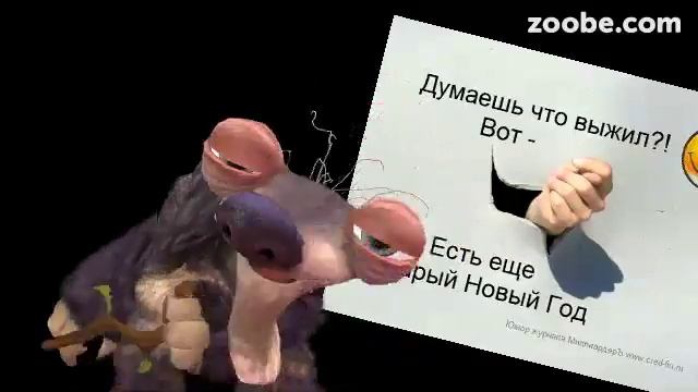 Поздравление видео поздравление ленивец смотреть онлайн