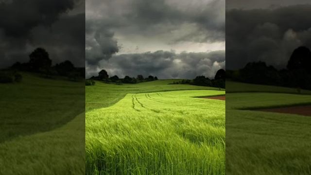 Успокаивающий.Для спокойного сна. Приятный шум ветра. смотреть онлайн
