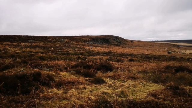 CHATSWORTH HOUSE ESTATE смотреть онлайн