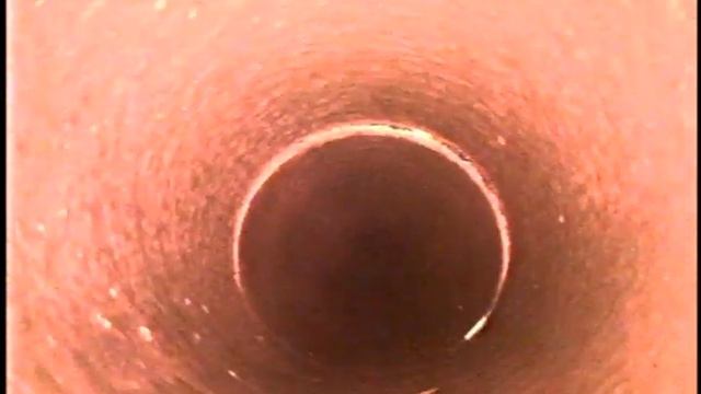 2024 02 29 10 51 03 смотреть онлайн