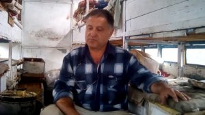 Аскосфероз пчёл  , способы лечения