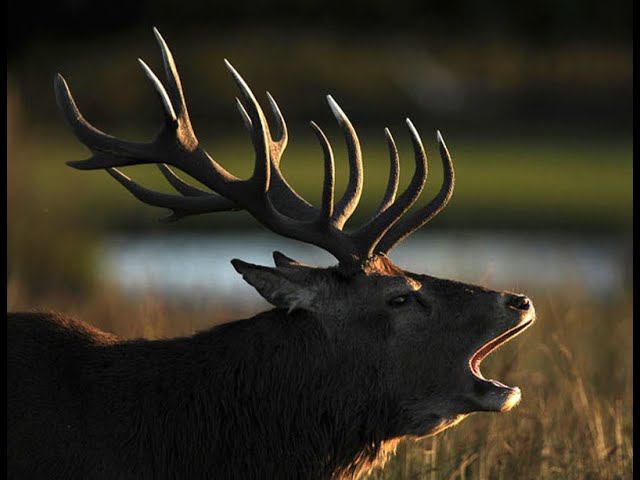 Крещенская рассказка про сложность простоты. смотреть онлайн