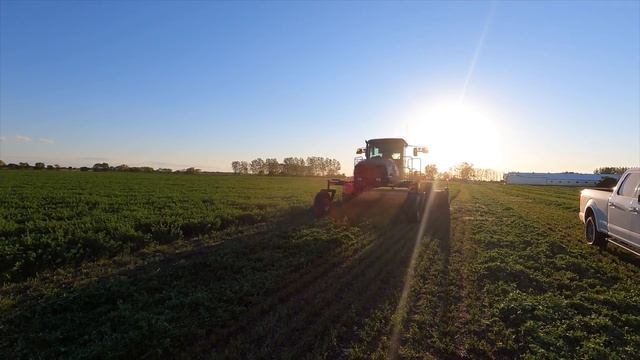 3rd Cut Alfalfa, More Manure, and Barn Update! смотреть онлайн