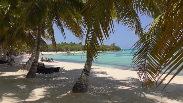 SAONA ISLAND Secret Paradise - Isla Saona - Dominican Republic (4K) смотреть онлайн