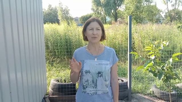 Вошки,блошки,клещи,клопы и другая живность в курятнике?Как бороться??? смотреть онлайн