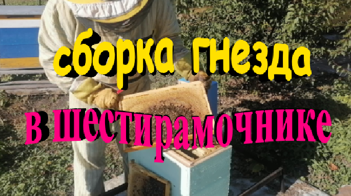 Сборка гнезда пчел в шестирамочнике смотреть онлайн