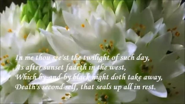 Sonnet 73 Phạm Thị Vân & Trần Thị Thương Huyền смотреть онлайн