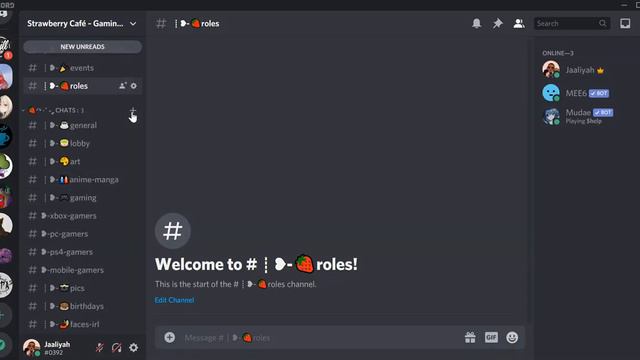 How To Set Up an Aesthetic Discord Server ~ Jaaliyah смотреть онлайн