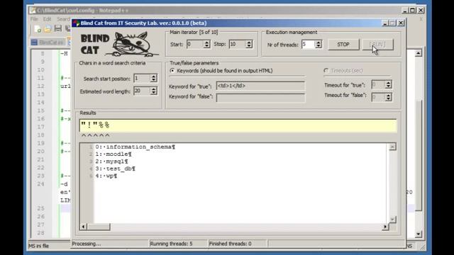 Blind SQL Injection exploitation with the Blind Cat tool YouTube смотреть онлайн
