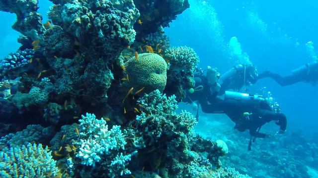 Дайвинг в Дахабе 2013  Dahab Diving Egypt
