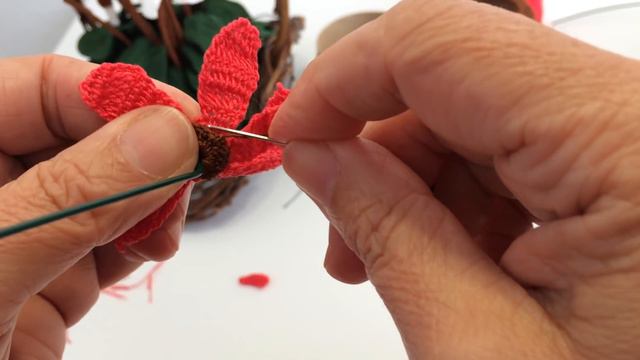 Spiegazione Del Ciclamino All'uncinetto