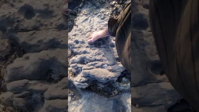 Koral Island..... смотреть онлайн