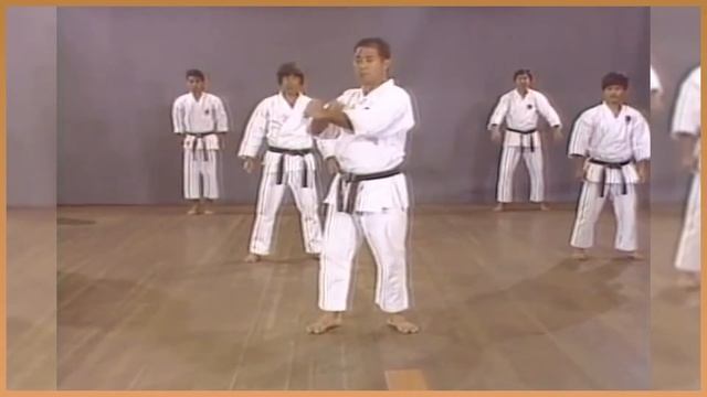Curso KIHON shotokan karate fundamentos смотреть онлайн