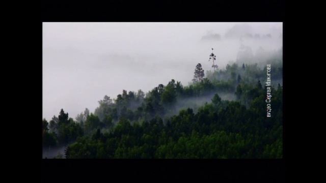 Прогулки верхом с видом на Тэнгу в Братске будут развивать конный туризм смотреть онлайн