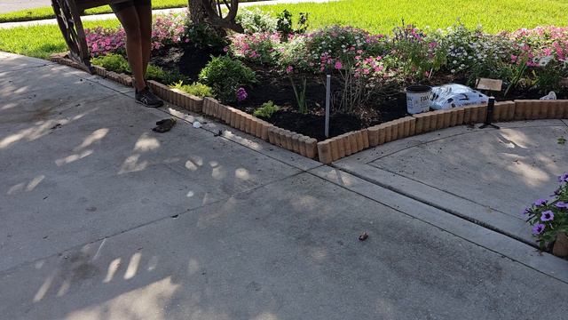 Buying more plants 👀🌱Home Depot |Mulching the garden with Compost смотреть онлайн