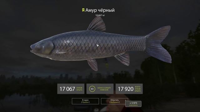 Русская рыбалка 4 - озеро Медвежье - Карп и амур в Бобровой заводи смотреть онлайн