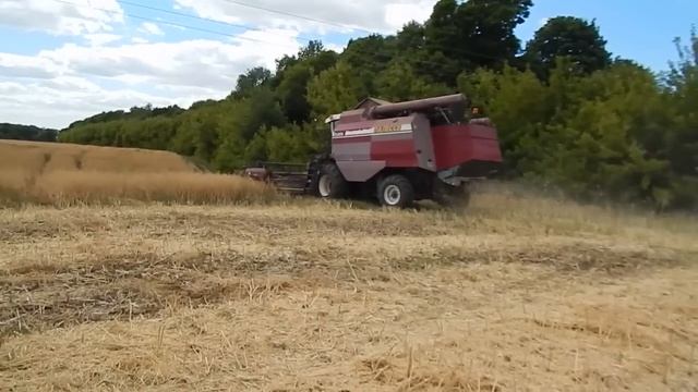 Комбайн Палессе GS12 на уборке рапса 2019 смотреть онлайн