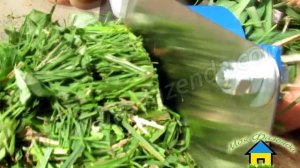 Траворезка ручная бытовая - механический  измельчитель травы