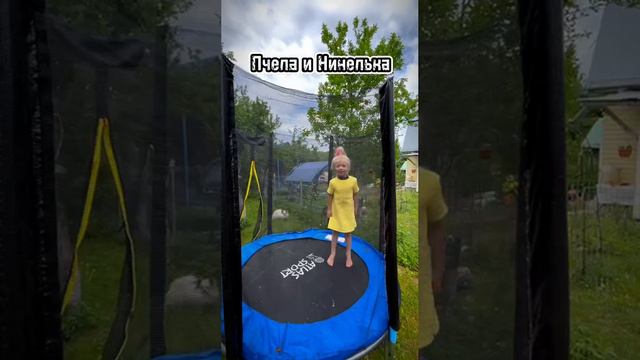 ПЧЕЛА И НИНЕЛЬКА!#юмор#приколы#ржака смотреть онлайн