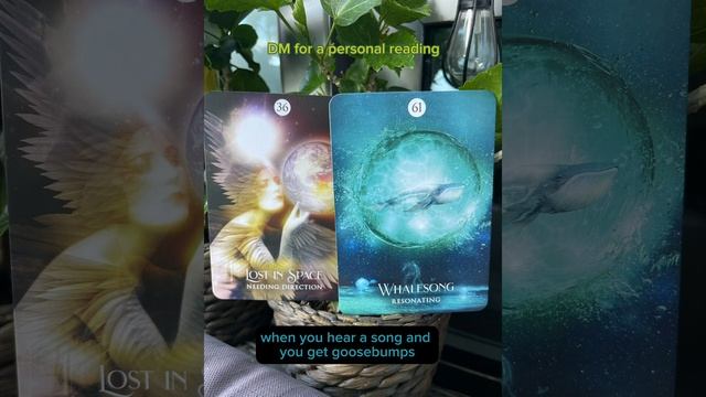 Your oracle cards of the day - Lost in Space (needing direction) & Whalesong (resonating) смотреть онлайн