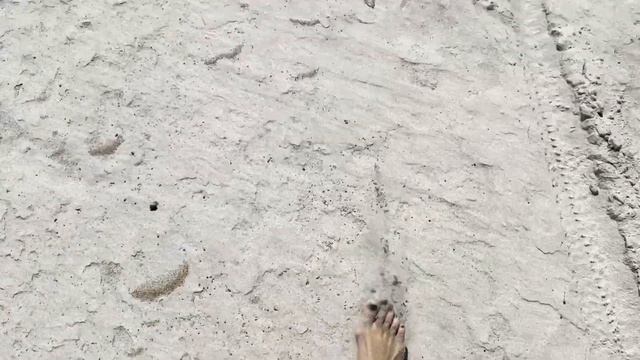 Жизнь в Литве/Куршская коса пешком/ Йодкранте/море/Настоящий янтарь смотреть онлайн