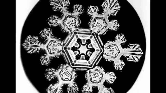 Wilson Alwyn "Snowflake" Bentley смотреть онлайн