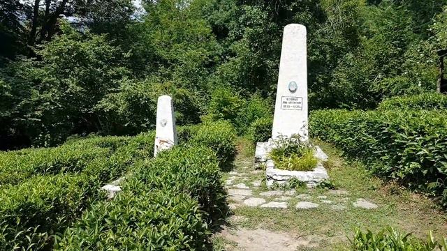 СОЧИ: памятник первому чаеводу И.А.Кошману | Жизнь на Юге смотреть онлайн