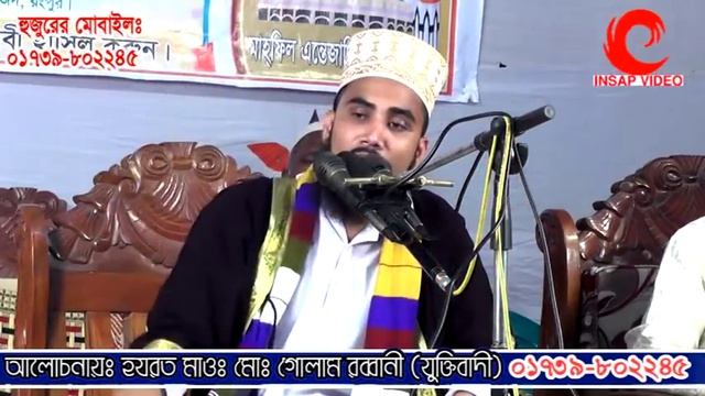 জান্নাতী নারী কারা? শুনলে হৃদয় ভরে যাবে Bangla Waz 2018 Golam Rabbani Islamic Waz Bogra смотреть онлайн