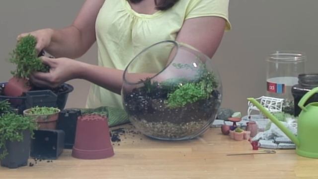 Miniature Garden Under Glass смотреть онлайн