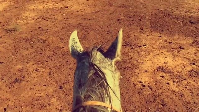 Mоя маленькая Элиста Ринчин Дашицыренов Aquarius Records смотреть онлайн