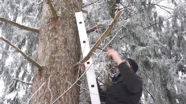Кормушки для птиц смотреть онлайн