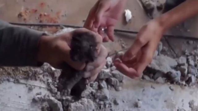 Люди услышали под землей какие-то звуки ,но потом все ахнули смотреть онлайн