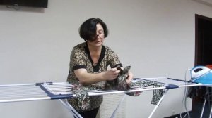 Уход за VIP-гардеробом: полезные советы по стирке и глажке