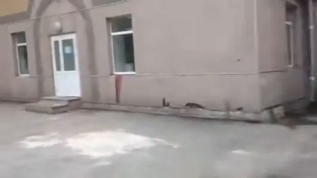 Бассейн в энергетике среднеуральск смотреть онлайн