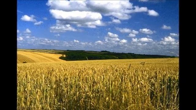 Есенин С. А - Затомилась деревня невесточкой - Авт исп Михаил Оводов смотреть онлайн