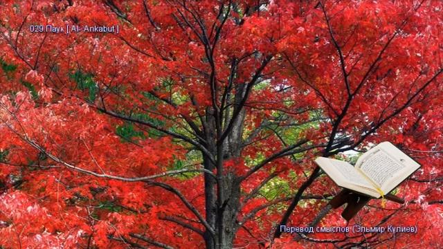 029. Паук (Al-Ankabut) - Коран на русском языке