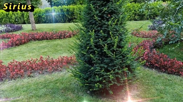 Ларчики заветные. Что нам, девочкам, следует знать о шкатулках. смотреть онлайн