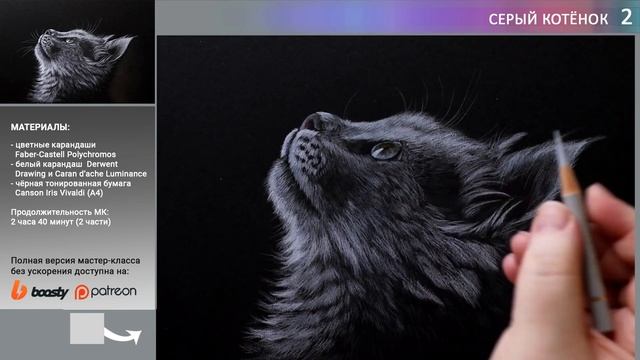 Как нарисовать котёнка цветными карандашами ✎ Серый котёнок на чёрном фоне ? Таймлапс смотреть онлайн