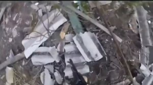 Штурм Соледар. Кадры реального боя