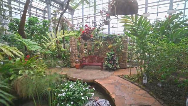 Утренняя Сагамихара - парк, сакура, зоопарк и джунгли・4K HDR смотреть онлайн