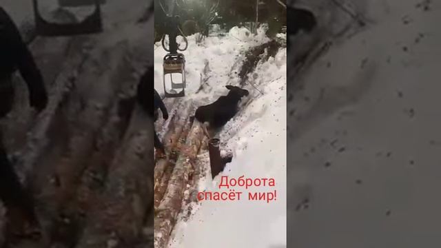 2023-02-04 смотреть онлайн