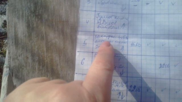 КЛУБНИКА. ЧТО ЖЕ ВАЖНЕЕ? ПИТАНИЕ ИЛИ ВЫБОР ПРАВИЛЬНОГО СОРТА? смотреть онлайн